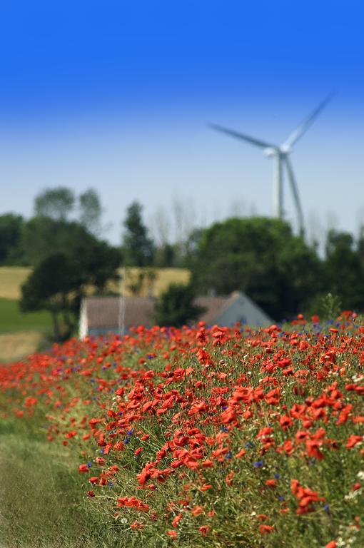 Ballen Badehotel Tranebjerg エクステリア 写真